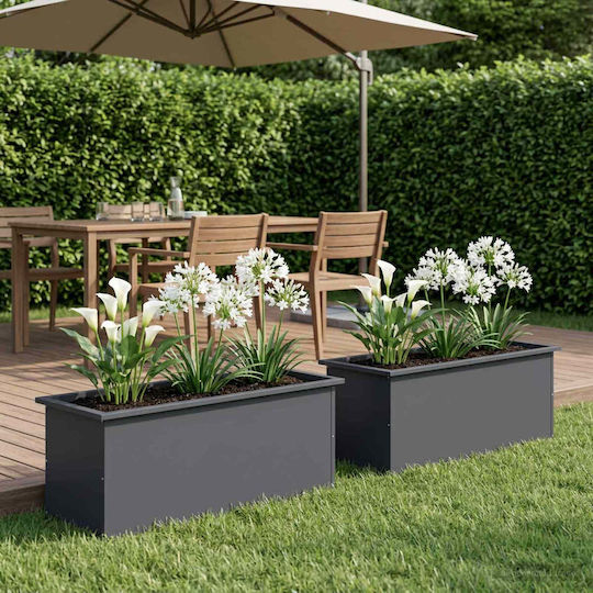 vidaXL Set of 2 Metal Planter Boxes Anthracite