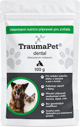 TraumaPet Σκόνη για Πέτρα & Πλάκα 100gr