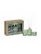 Koopman Diffusor-Set Mistel-Tanne 41582-03 60 ml