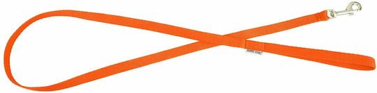 Barry King Hundeleine/Hundeführleine aus Gurtband in Orange 1 m x 20 mm