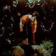 Cavetown Worm Food 1 Vinyl