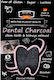Qchefs Dental Care Paste 70g