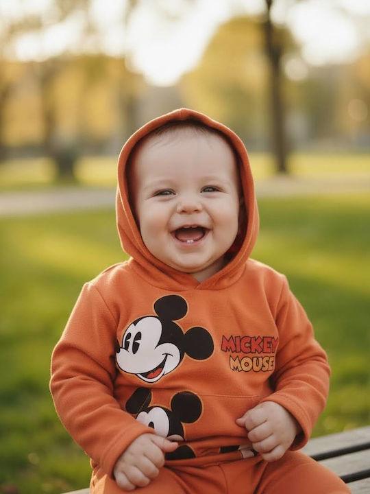 Babydom Babydom