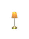 Decorative LED Light