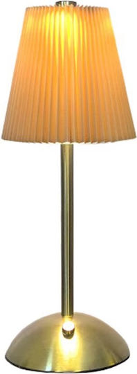 Decorative LED Light