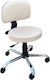 Medical Stool with Backrest 9021