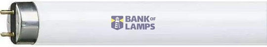 58w/82 T8 150cm Linear Fluorescent Tube