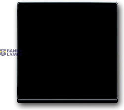 1786-81-500 Cover Plates Partly Incl Insert Switch Push Button Single Rocker Without Imprint Anthracite 63x63 1786-81-500 Cover Plates Partly Incl Insert Switch Push Button Single Rocker Without Imprint Anthracite 63x63