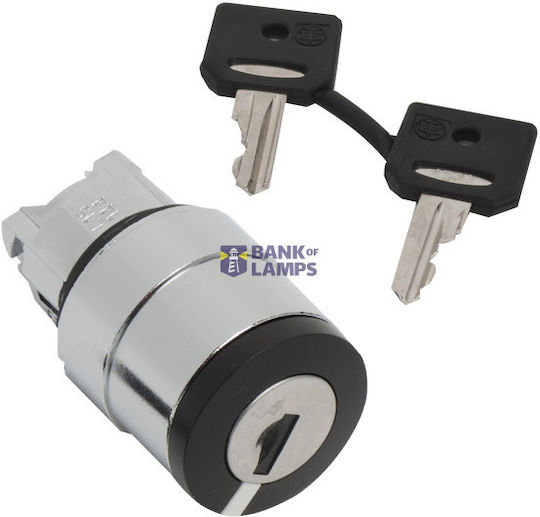 Schlüsselschalter-Betätiger Harmony XB4 3 Positionen 22 mm IP66 Typ Schlüsselschloss Schlüssel 3131A