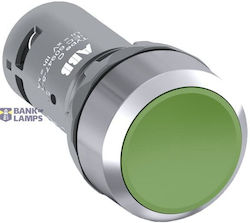 Cp1-30g-20 Pushbutton