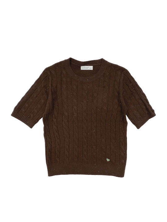 Ansin Brown Short Sleeve Sweater