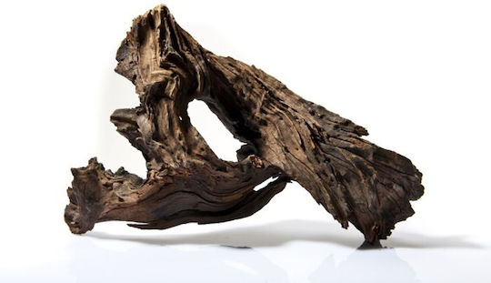 Τροπικα Ξυλα Ενυδρειου Temaxιο River Root M 40–55 Cm