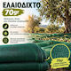 Fun Baby Платнище за Събиране на Маслини 6x12m с Плътност 70gr/m²