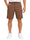 Herren Chino-Shorts Regular Fit Braun