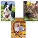 Υδρόγειος Μηνιαίο Planner 2027 17x24εκ. (Διάφορα Σχέδια)