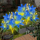 Garden LED Spiked Solar Light with Blue Light