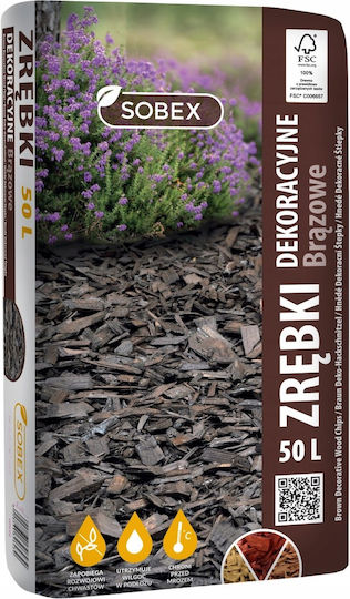 Sobex Γλάστρα Brown