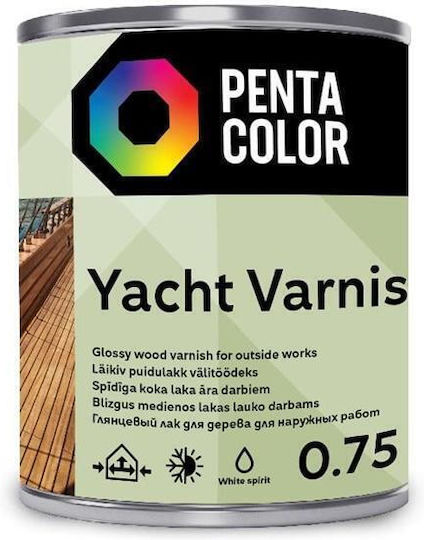 Pentacolor Colorless Glossy Surface Varnish 750ml 900gr