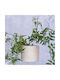 Lumarko Ceramic Flower Pot