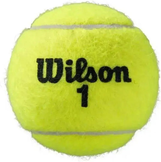 Wilson Roland Garros Clay 3 Ball Can