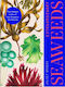 Extraordinary Seaweeds - Quercus Publishing - Hardback