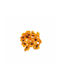 JK Home Décor Orange Anemonen S/20 3 cm