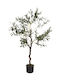 JK Home Décor Olivenbaum 120 cm