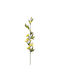 Magnolienzweig x5 F2615