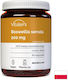 Vitaler's При Болки в Ставите 200 mg 60 Капсули
