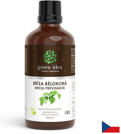 Green Idea Tinctură de Mesteacăn Alb 240 mg 50 ml
