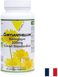 Vit'All+ Хризантема 250 mg 60 Капсули