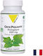 Vit'All+ Circulatory 500 mg 2 g 60 Капсули