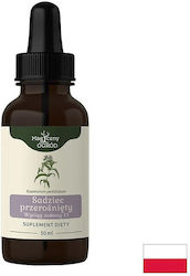 Nanga Тинктура Дубравник 50 ml