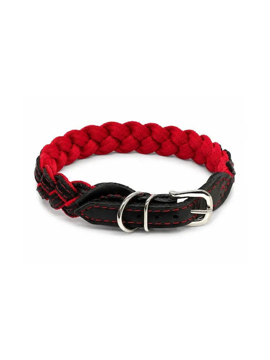 Barryking Inferno Braid Halsband – Rot 40 mm/65 cm