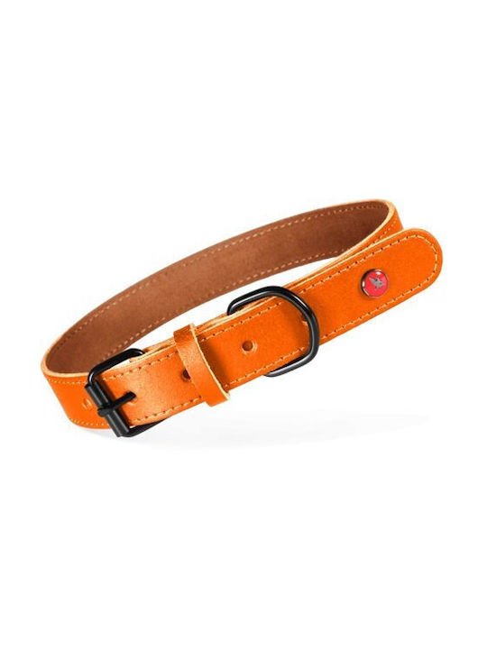Zolux Classic Leather Dog Collar 55 Cm/25 Mm Orange