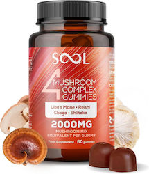 Sool 4 Mushroom Complex 2000mg 60 Gummies Sool 4 Mushroom Complex 2000mg 60 Gummies