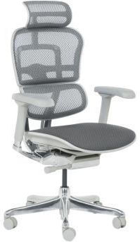Ergohuman Elite 2 Ergohuman Elite 2