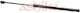 Trunk Shock BMW X1-Ford Focus C-Max 03> Ashika Zsa02034