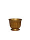 Set of 10 Pieces – Gold Plastic Flower Pot Donczka Lilia Ø16x14cm 09-120 Gold