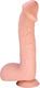 Realistic Dildo With Suction Cup