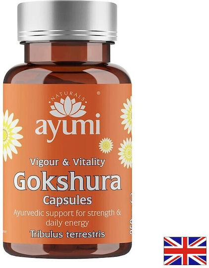 Gokshura (Tribulus Terrestris) Energy 60 Capsule