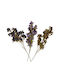 Decorative Flower 1/3 Fylliana Purple-Pink-Yellow Colour 12x60cm