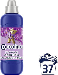 Coccolino Creations Purple Orchid & Blueberries Συμπυκνωμένο 37 Μεζούρες