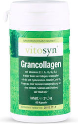 Metapharm Vitosyn Grancollagen 60 Capsule