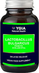 Ygia 500mg 30 κάψουλες Ygia 500mg 30 κάψουλες