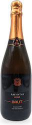 E.A.S. Amyntaiou Vin Rozé Sec Spumant Amyntaio 750 ml E.A.S. Amyntaiou Vin Rozé Sec Spumant Amyntaio 750 ml