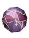 Windproof Automatic Compact Burgundy Rain Umbrella