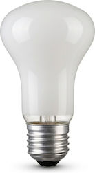 Λάμπα Πυράκτωσης 25w E27 230v Ματ