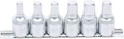 BGS Technic Καρυδάκια Τετράγωνα με Καρέ Υποδοχής 1/2", 3/8" Σετ 6τμχ BGS Technic Καρυδάκια Τετράγωνα με Καρέ Υποδοχής 1/2", 3/8" Σετ 6τμχ