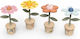 Babyspielzeug aus Holz ab 3 Monaten (Verschiedene Designs)